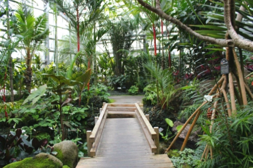 宇治市植物公園